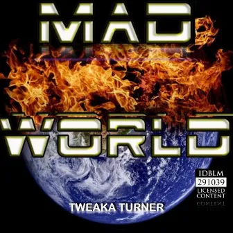 Mad World by Tweaka Turner