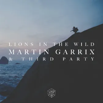 Lions in the Wild by Third Party