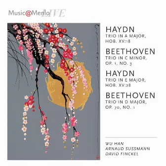 Music@Menlo Live, Haydn Connections, Vol. 8 by David Finckel