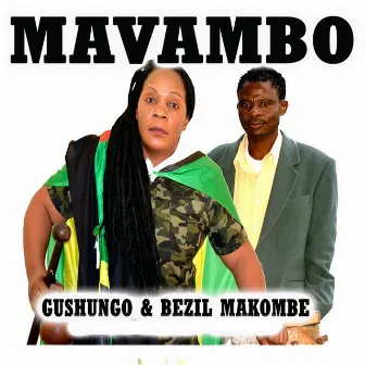 Mavambo by Gushungo