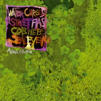 Water Curses by Animal Collective