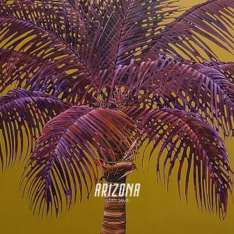 Arizona by 