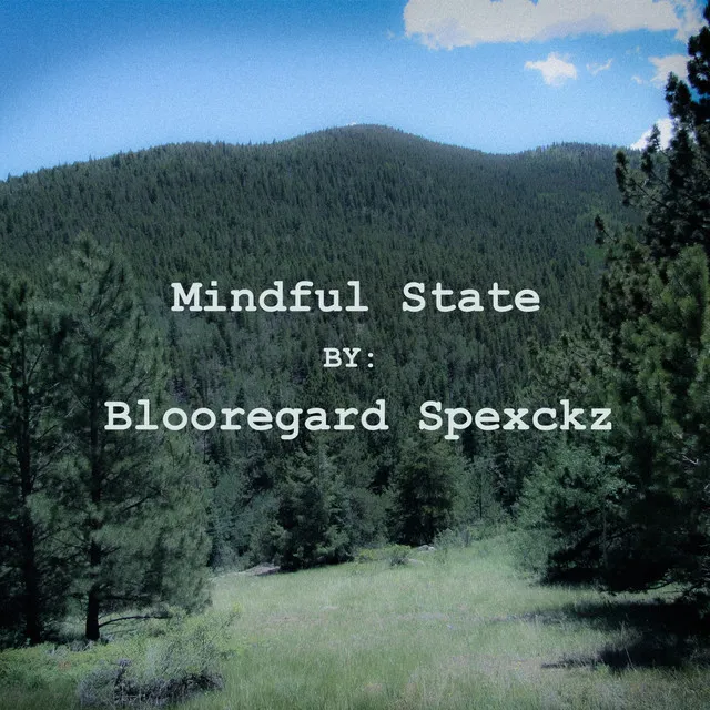 Mindful State