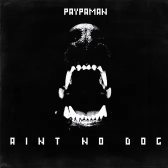 Ain't No Dog by Paypaman