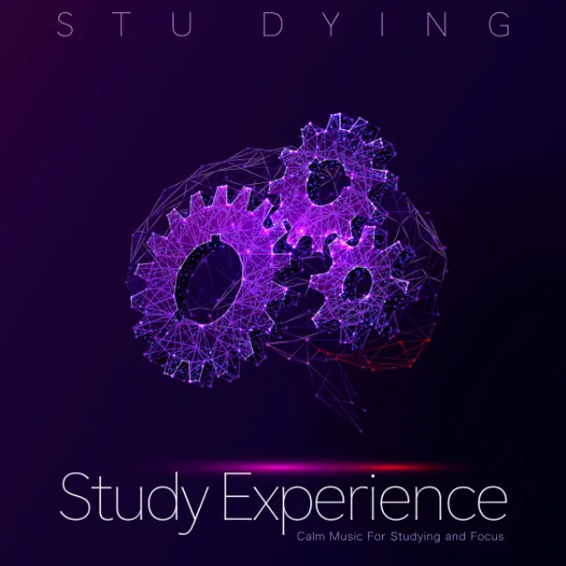 Study Experience: Calm Music For Studying and Focus