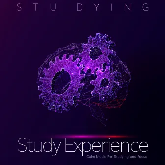 Study Experience: Calm Music For Studying and Focus by Stu Dying