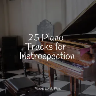 25 Piano Tracks for Instrospection by Pianoramix