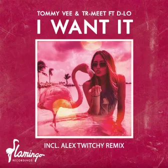 I Want It by Tr-Meet