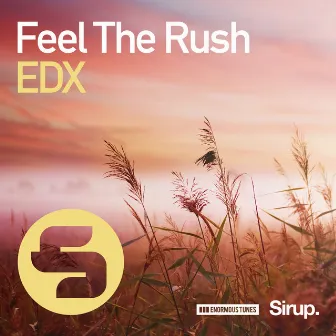 Feel the Rush by EDX