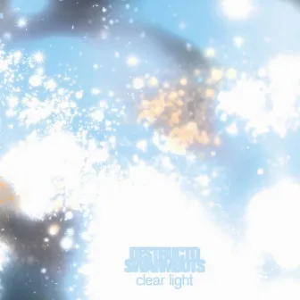 Clear Light by Destructo Swarmbots