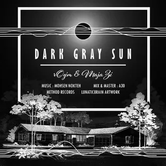 Dark Gray Sun by Saeed Majazi