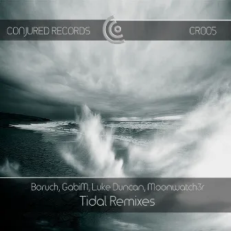 Tidal Remixes by Boruch