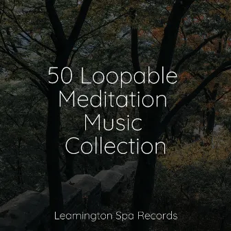 50 Loopable Meditation Music Collection by White Noise for Babies