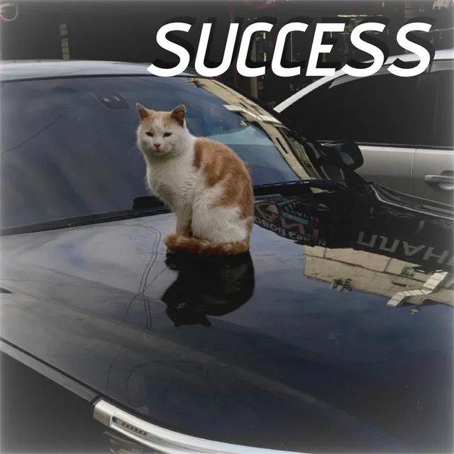 Success