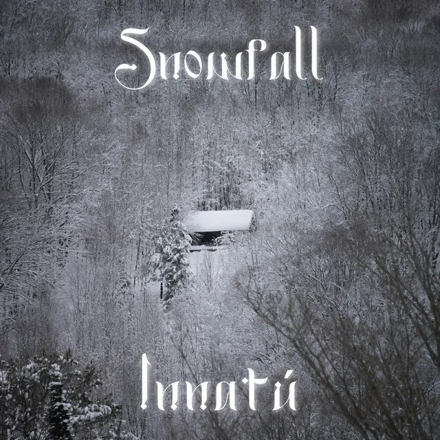 Snowfall