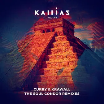 The Soul Condor (Remixes) by Curry & Krawall