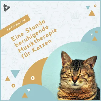 Eine Stunde beruhigende Musiktherapie für Katzen by Beruhigende Kätzchenmusik