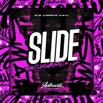 Slide Bioclismatica 2 by DJ Shadow ZN