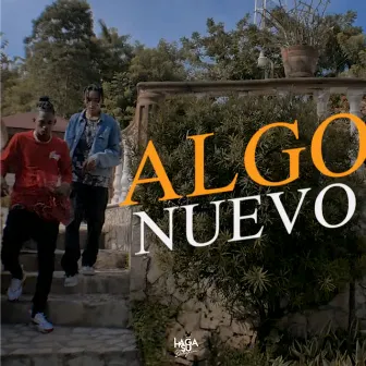 Algo Nuevo by Ale Cartier