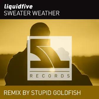 Sweater Weather (Stupid Goldfish Remix) by liquidfive