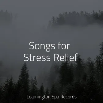 Songs for Stress Relief by Oasis of Meditation