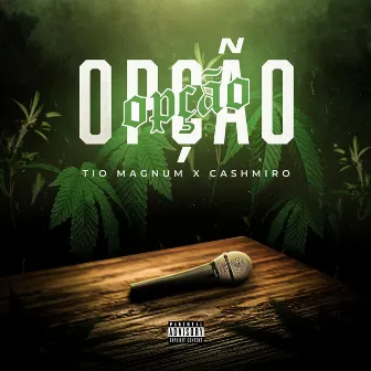 Opção by Cashmiro