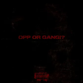 Opp or Gang!? by TimVVS