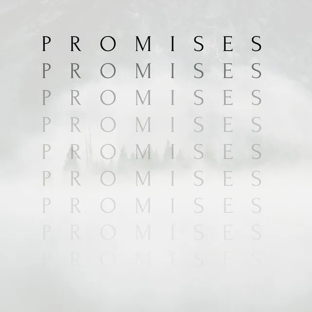 Promises