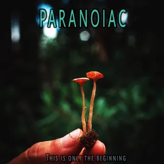 This Is Only The Beginning by Paranoiac