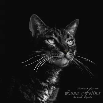 Luna Felina by Unknown Artist