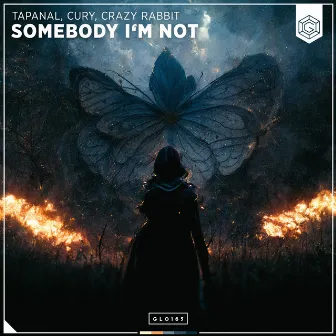 Somebody I'm Not by TAPANAL