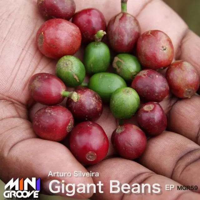 Gigant Beans