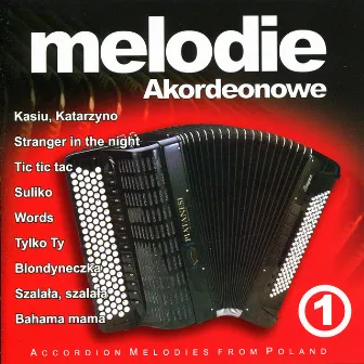 Gdzie sie podzialy tamte prywatki - Accordian Melodies from Poland by Biesiada