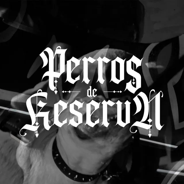 Perros de Reserva