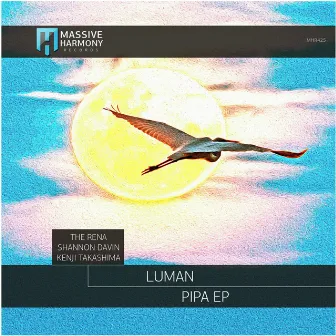 Pipa by Luman