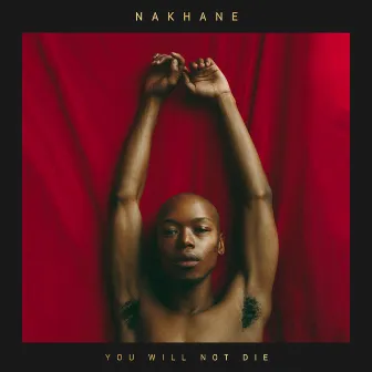 You Will Not Die by Nakhane