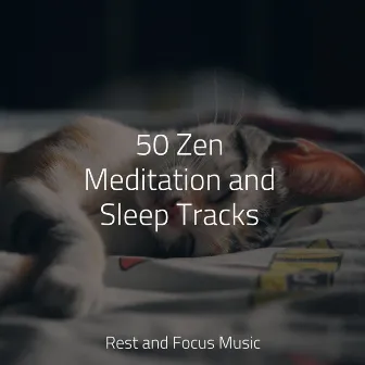 50 Zen Meditation and Sleep Tracks by Calm Shores