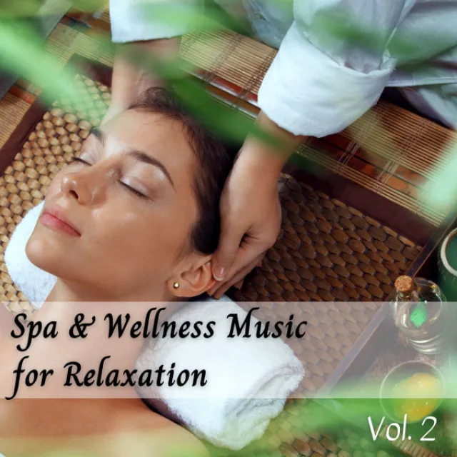 Spa & Wellness Music for Relaxation Vol. 2