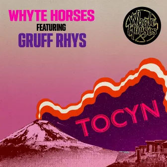 Tocyn by Whyte Horses