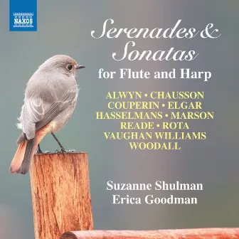 Serenades & Sonatas for Flute and Harp by Erica Goodman