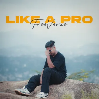 Like a Pro (Freeverse) by PRO