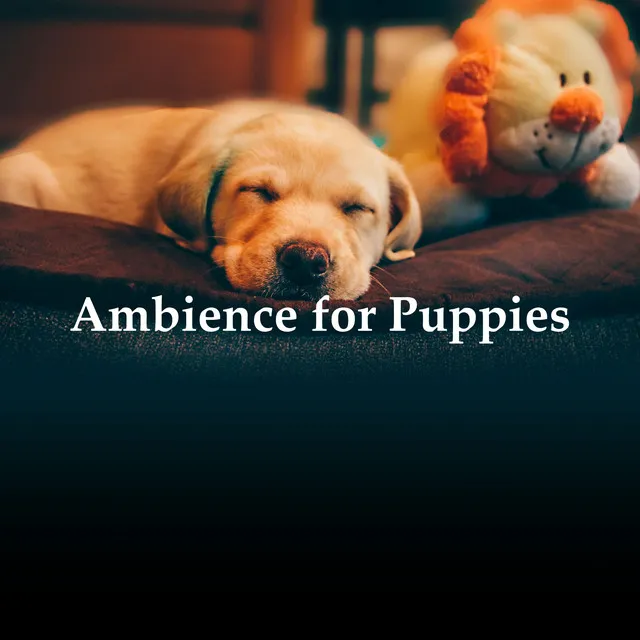 Ambience for Puppies