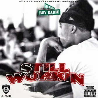 Still Workin by Birch Boy Barie