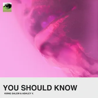 You Should Know by Ashley V.