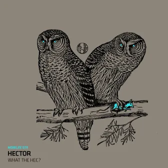 What The Hec? by Hector