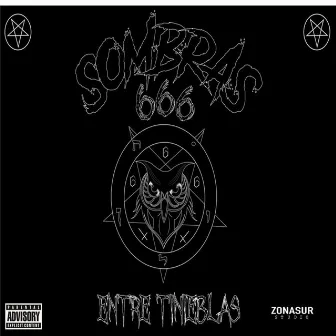 Sonrisas Fingidas by sombras 666