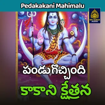 Pandugocchindi kakani kshetrana by Vadlakonda Anil Kumar