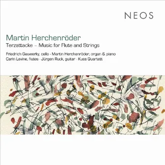 Martin Herchenröder: Terzattacke – Music for Flute & Strings by Friedrich Gauwerky