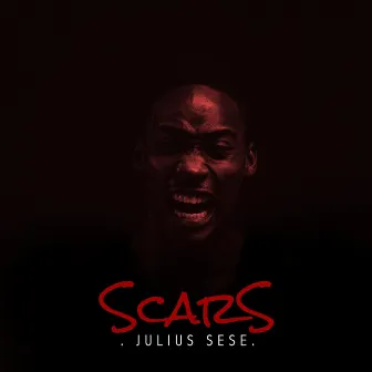 Scars by Julius Sese