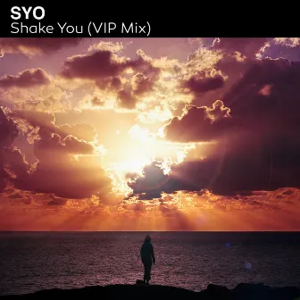 Shake You (VIP Mix) by SYO